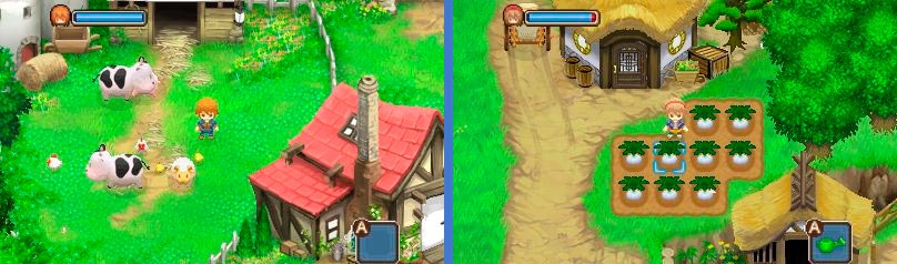 Harvest Moon: The Tale of Two Towns