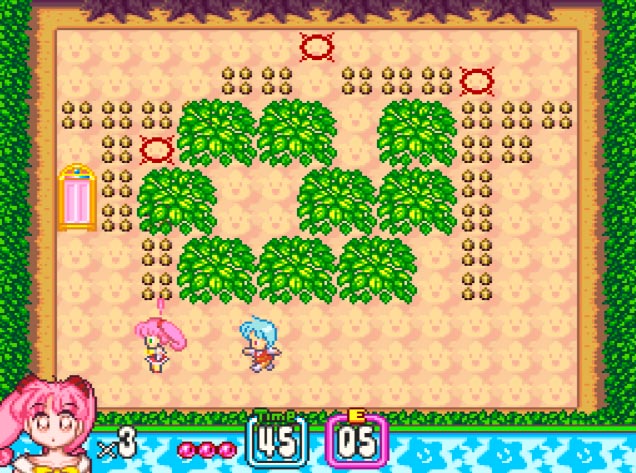 Porta para próxima fase em Panic in Nakayoshi World