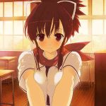 Artwork de Senran Kagura Reflexions