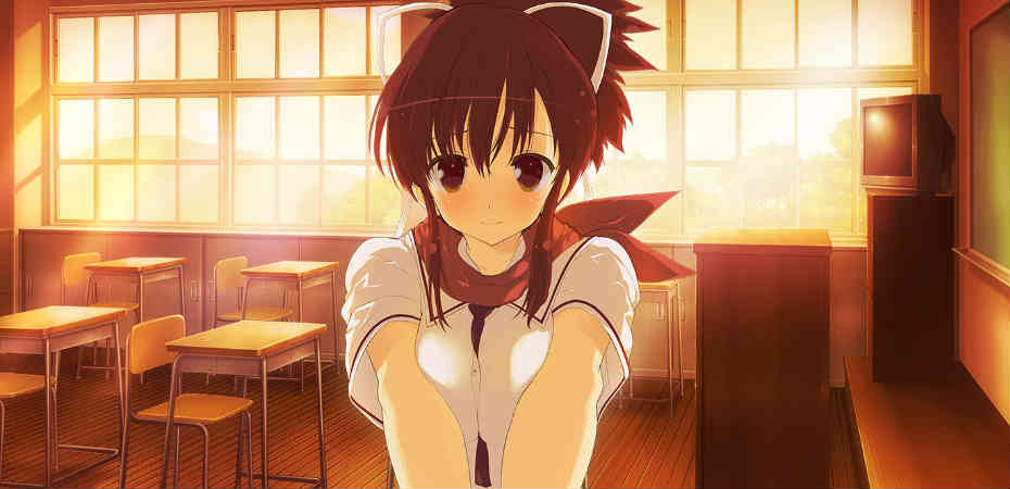 Artwork de Senran Kagura Reflexions