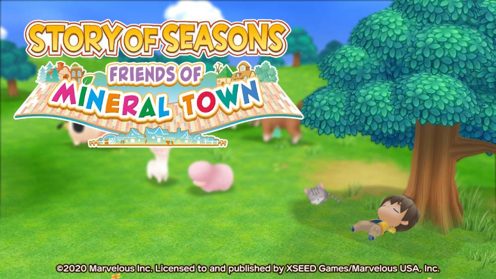 Screenshot de Story of Seasons: Friends of Mineral Town