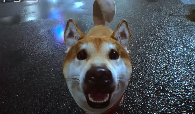 Sim, você poderá acariciar cachorrinhos em Ghostwire: Tokyo Sim, você poderá acariciar cachorrinhos em Ghostwire: Tokyo