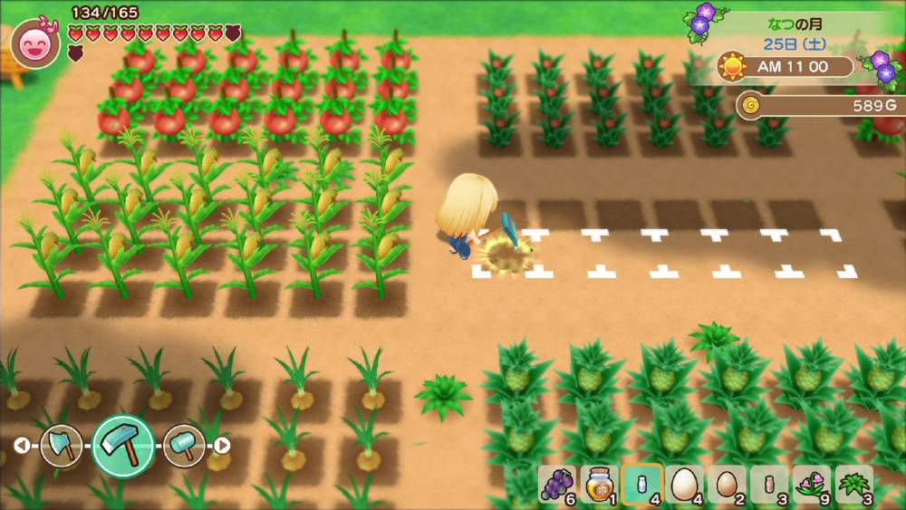 Screenshot de Story of Seasons: Friends of Mineral Town