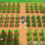 Screenshot de Story of Seasons: Friends of Mineral Town