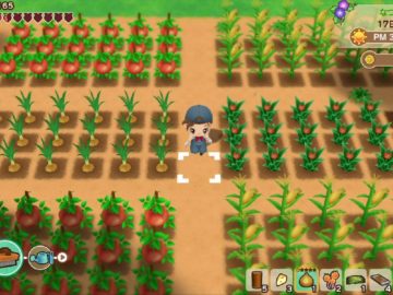 Screenshot de Story of Seasons: Friends of Mineral Town