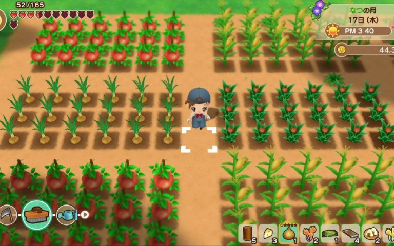 Screenshot de Story of Seasons: Friends of Mineral Town