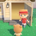 Screenshot de Animal Crossing: New Horizons