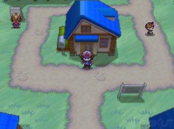 Screenshot de Pokémon Black & White
