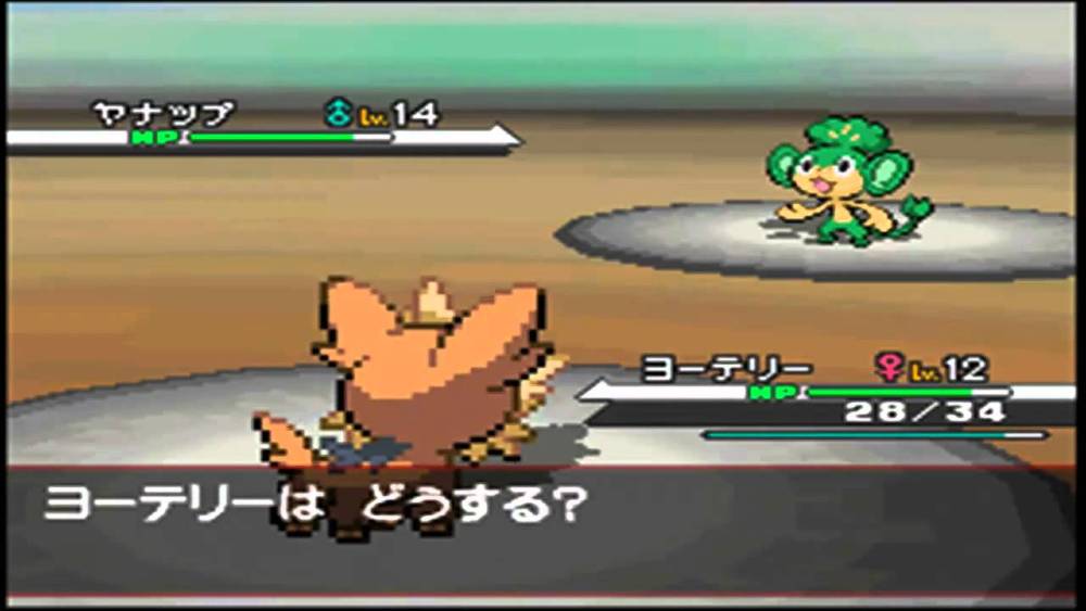 Screenshot de Pokémon Black & White