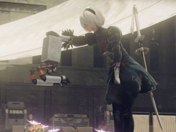 2B pet